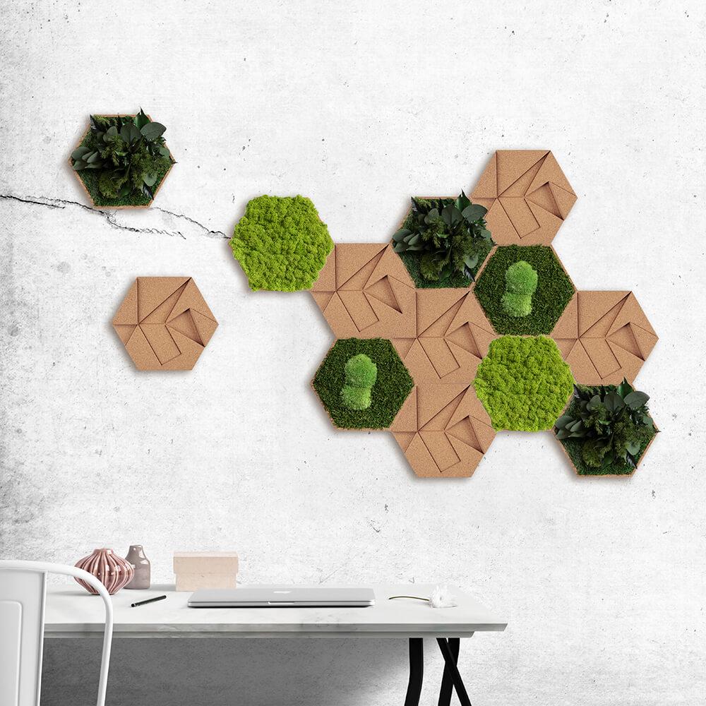 Moss and Cork Hexagon: Set of 10 Moss Panels | Forest Homes