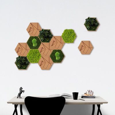 Moss and Cork Hexagons (Set of 26 Moss Panel)-Wall Decor-MOSS FRAMES, MOSS PANELS, MOSS PICTURES, MOSS WALL ART, PLANT WALL ART, PLANTS-Forest Homes-Nature inspired decor-Nature decor