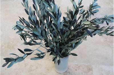 Olive Leaf Bouquets (Set of 4)-Home Flora-FLOWERS, PLANTS-Forest Homes-Nature inspired decor-Nature decor