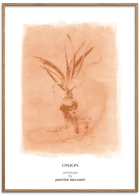 Onion Sienna Original Artist Poster