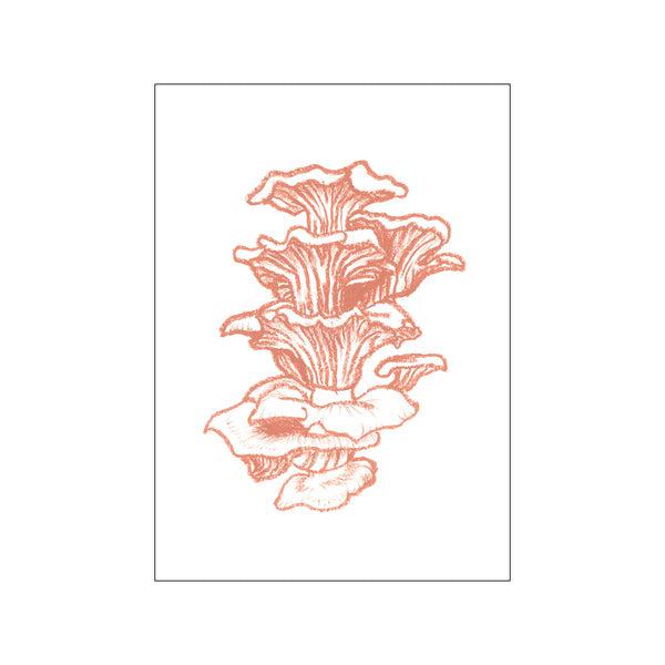 Oyster Mushroom Original Artist Poster