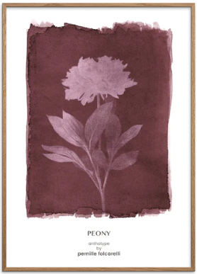 Peony Plum Original Artist Poster