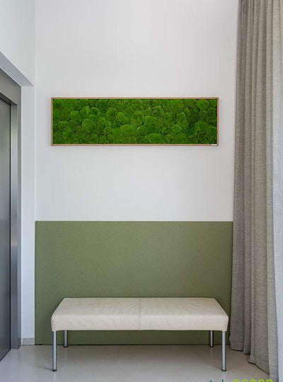 Wide Green Moss Wall Art (140x40cm)
