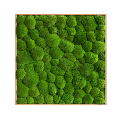 Green Square Moss Art (80cm)