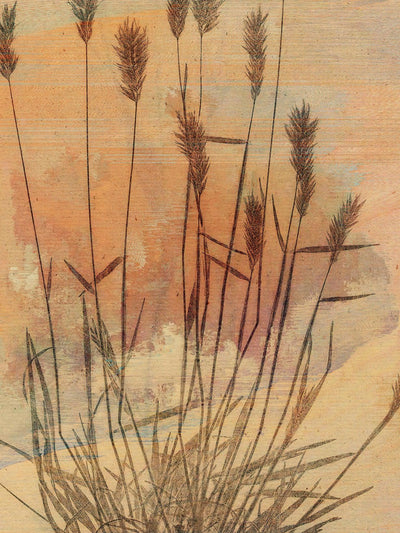 Pressed Reed Stretched Canvas