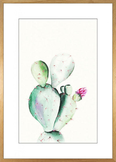 Prickly Pear Watercolor Art Poster