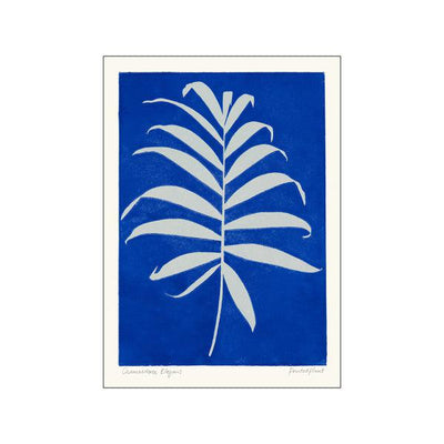 Printed Plant - Chamaedorea Original Artist Poster