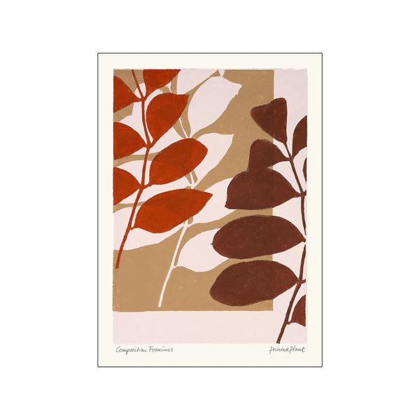 Printed Plant - Fraxinus I Original Artist Poster
