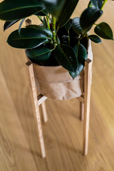 Augalas Oak Plant Stand-Home Goods-BASKETS, BOXES / ORGANISERS / CONTAINERS, SUPPORT / BASES / STANDS, SUSTAINABLE DECOR, TERRARIUMS / VASES / PLANT HANGERS-Forest Homes-Nature inspired decor-Nature decor