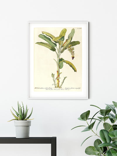 Rainforest Sapling Art Poster