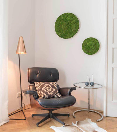 Green Circle Decorative Moss Wall Art-Wall Decor-MOSS FRAMES, MOSS PICTURES, MOSS WALL ART, PLANTS-Forest Homes-Nature inspired decor-Nature decor