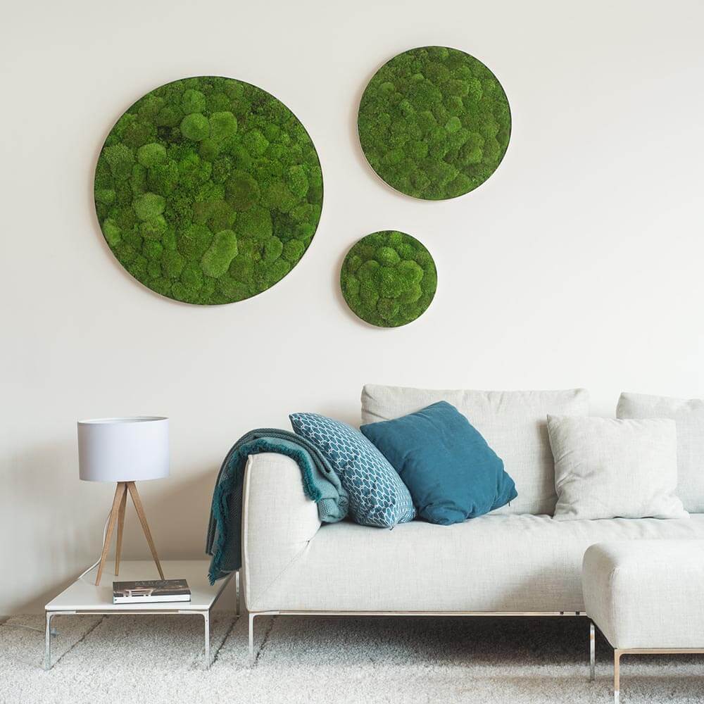 Circular Decorative Moss Frame: Moss Wall Art