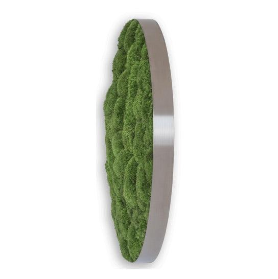 Green Circle Decorative Moss Wall Art-Wall Decor-MOSS FRAMES, MOSS PICTURES, MOSS WALL ART, PLANTS-Forest Homes-Nature inspired decor-Nature decor