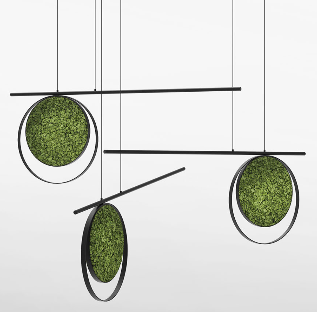 Hanging Plant and Moss Rings-Wall Decor-LIVING MOSS WALL, MOSS FRAMES, MOSS PICTURES, MOSS WALL ART, PLANT WALL ART, PLANTS-Forest Homes-Nature inspired decor-Nature decor
