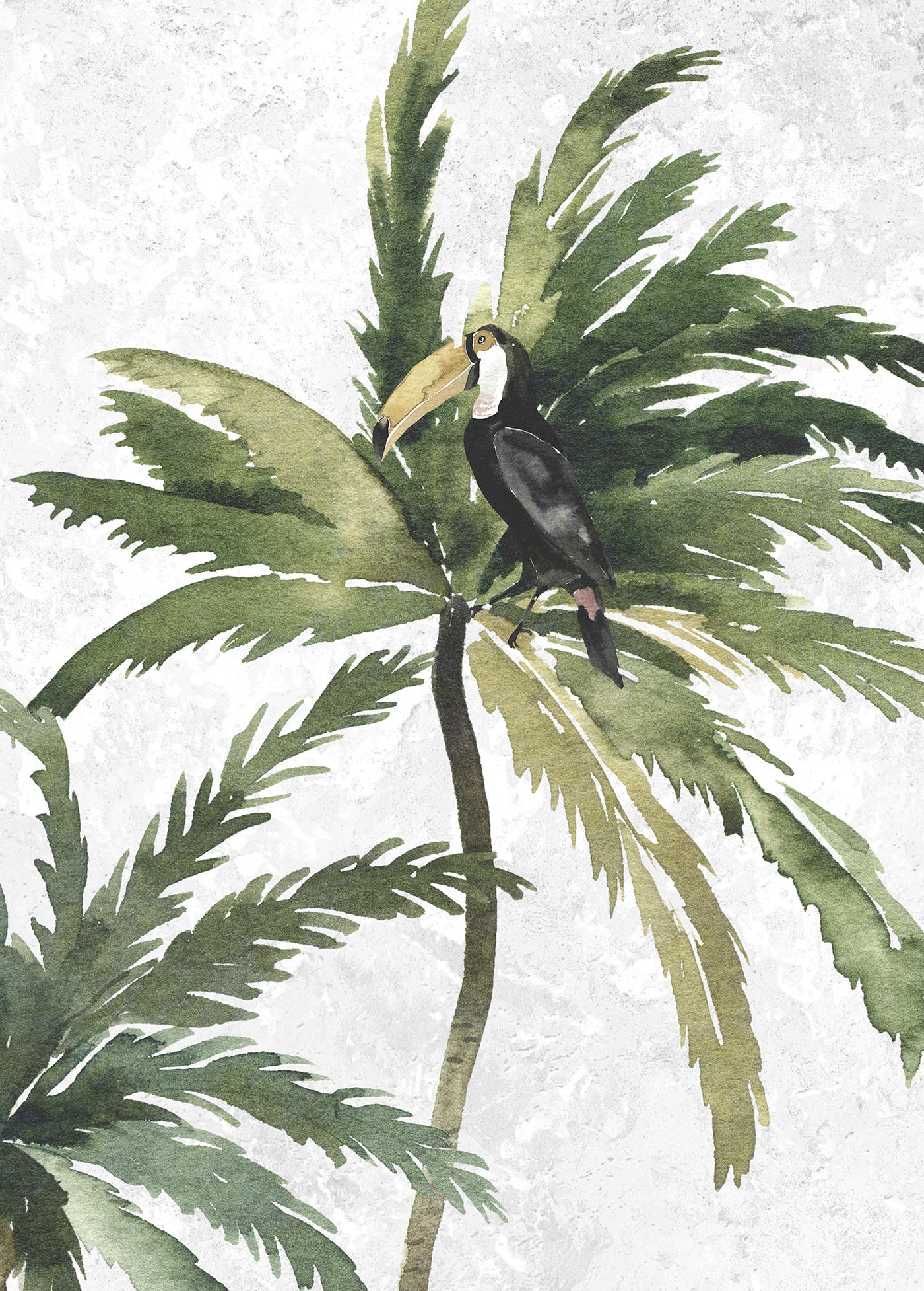 Tropical Toucan Art Poster