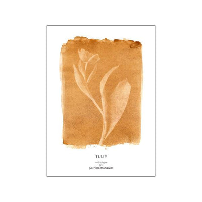 Tulip Ochre Original Artist Poster