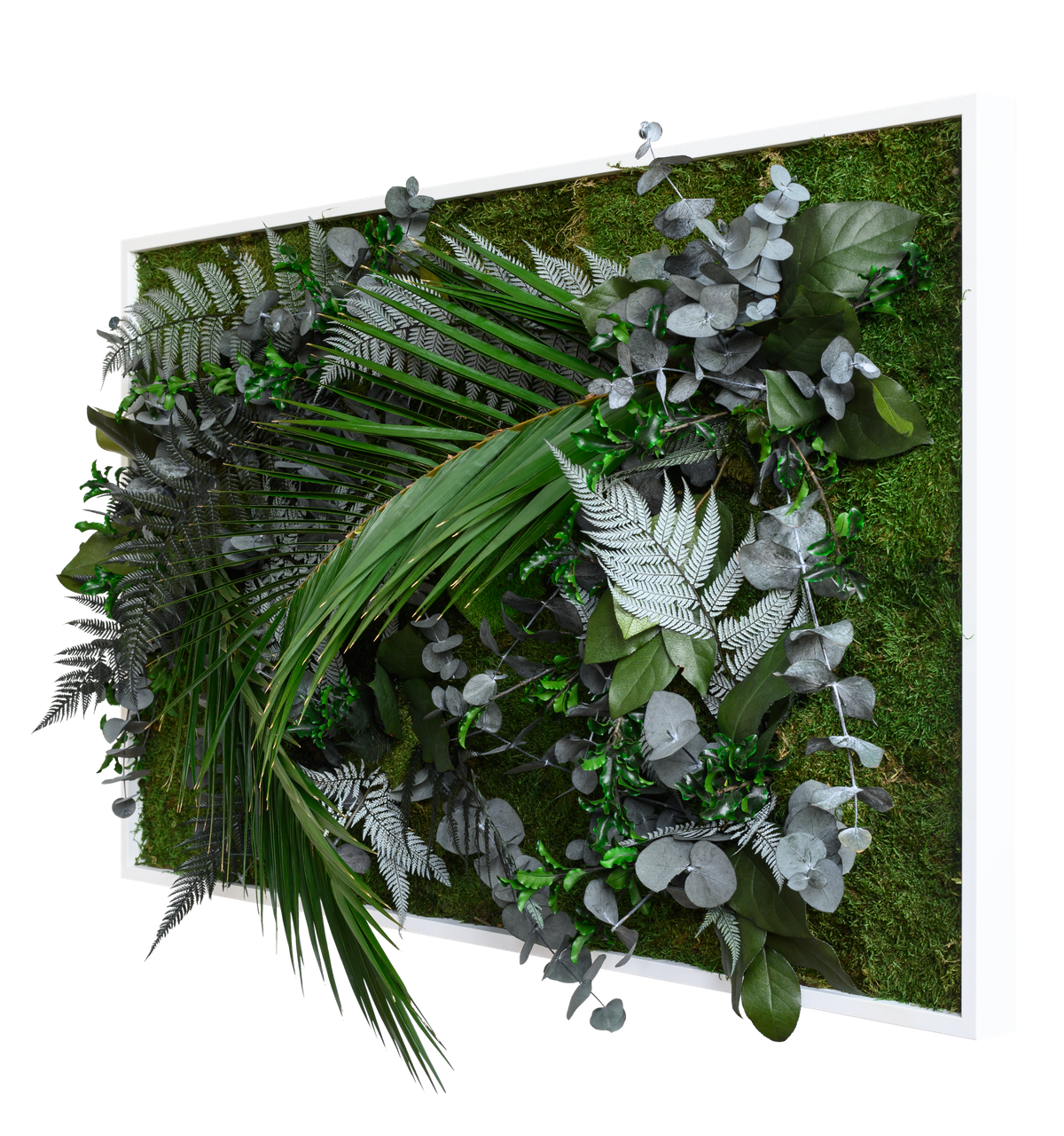 Jungle Rectangular Plant and Moss Wall Art (100x60cm)-Wall Decor-MOSS PICTURES, MOSS WALL ART, PLANT WALL ART, PLANTS-Forest Homes-Nature inspired decor-Nature decor