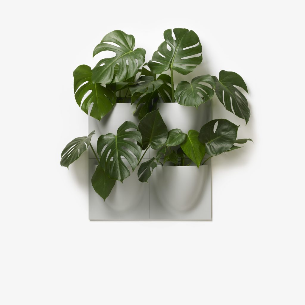 Oyster White VertiPlant Bio Wall Container-Home Goods-BOXES / ORGANISERS / CONTAINERS, SUPPORT / BASES / STANDS, SUSTAINABLE DECOR, VERTI, WALL HANGERS-Forest Homes-Nature inspired decor-Nature decor
