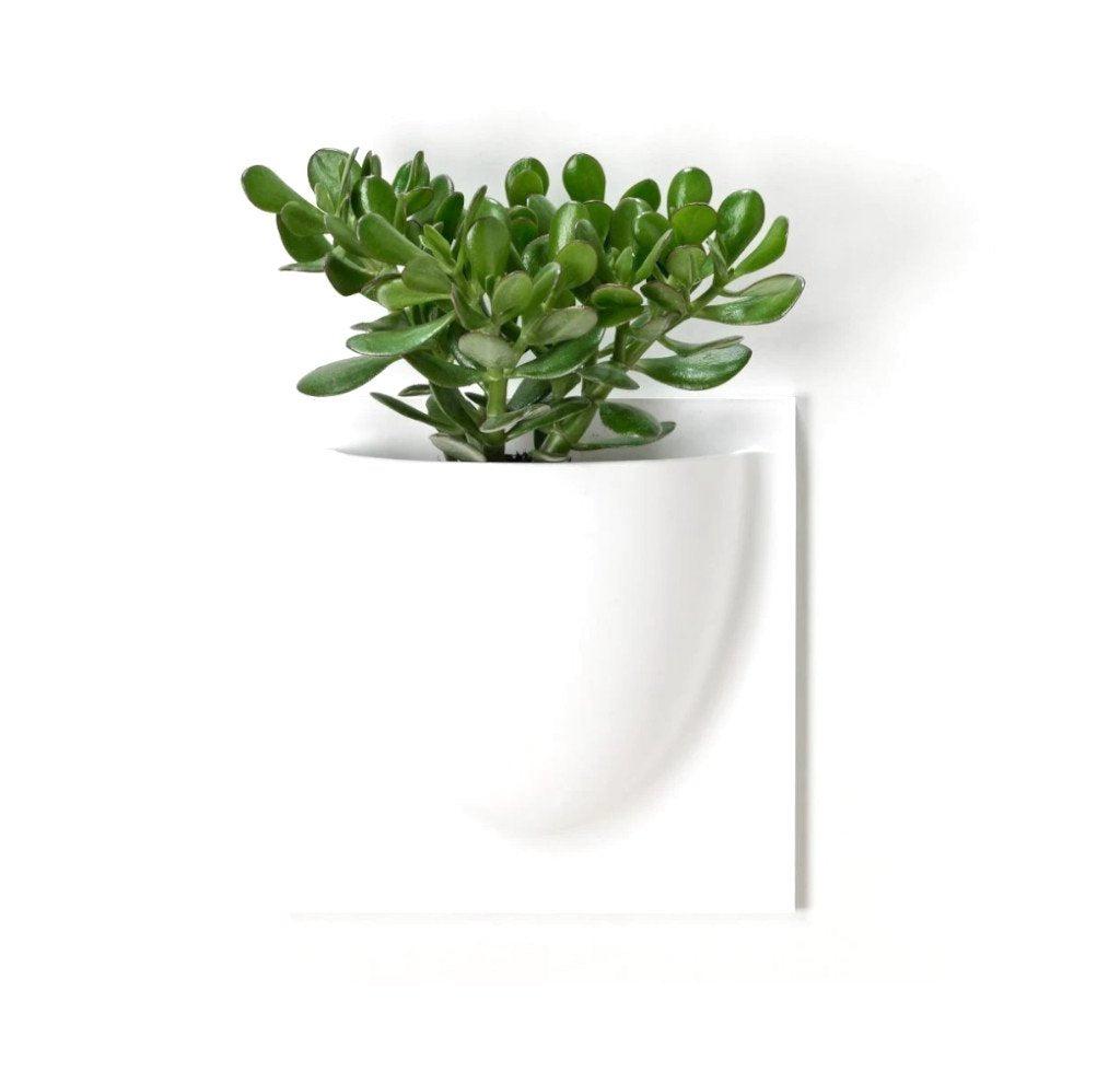 Grey VertiPlant Bio Wall Container-Home Goods-BOXES / ORGANISERS / CONTAINERS, SUPPORT / BASES / STANDS, SUSTAINABLE DECOR, VERTI, WALL HANGERS-Forest Homes-Nature inspired decor-Nature decor