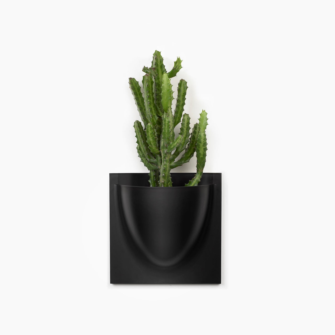 Oyster White VertiPlant Bio Wall Container-Home Goods-BOXES / ORGANISERS / CONTAINERS, SUPPORT / BASES / STANDS, SUSTAINABLE DECOR, VERTI, WALL HANGERS-Forest Homes-Nature inspired decor-Nature decor