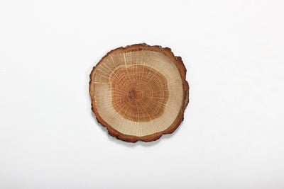 Laima Wooden Cup Pads-Home Goods-COASTERS, SUSTAINABLE DECOR-Forest Homes-Nature inspired decor-Nature decor