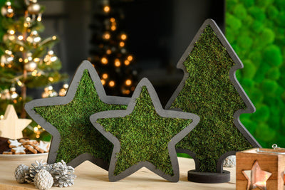 Moss Noel Christmas Tree w/ Stand-Wall Decor-CHRISTMAS DECOR, MOSS FRAMES, MOSS PANELS, MOSS PICTURES, MOSS WALL ART-Forest Homes-Nature inspired decor-Nature decor