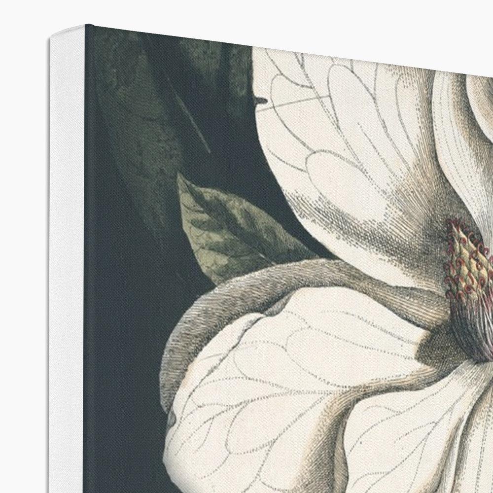 Nature Romance Canvas-Wall Decor-CANVAS PRINTS-Forest Homes-Nature inspired decor-Nature decor