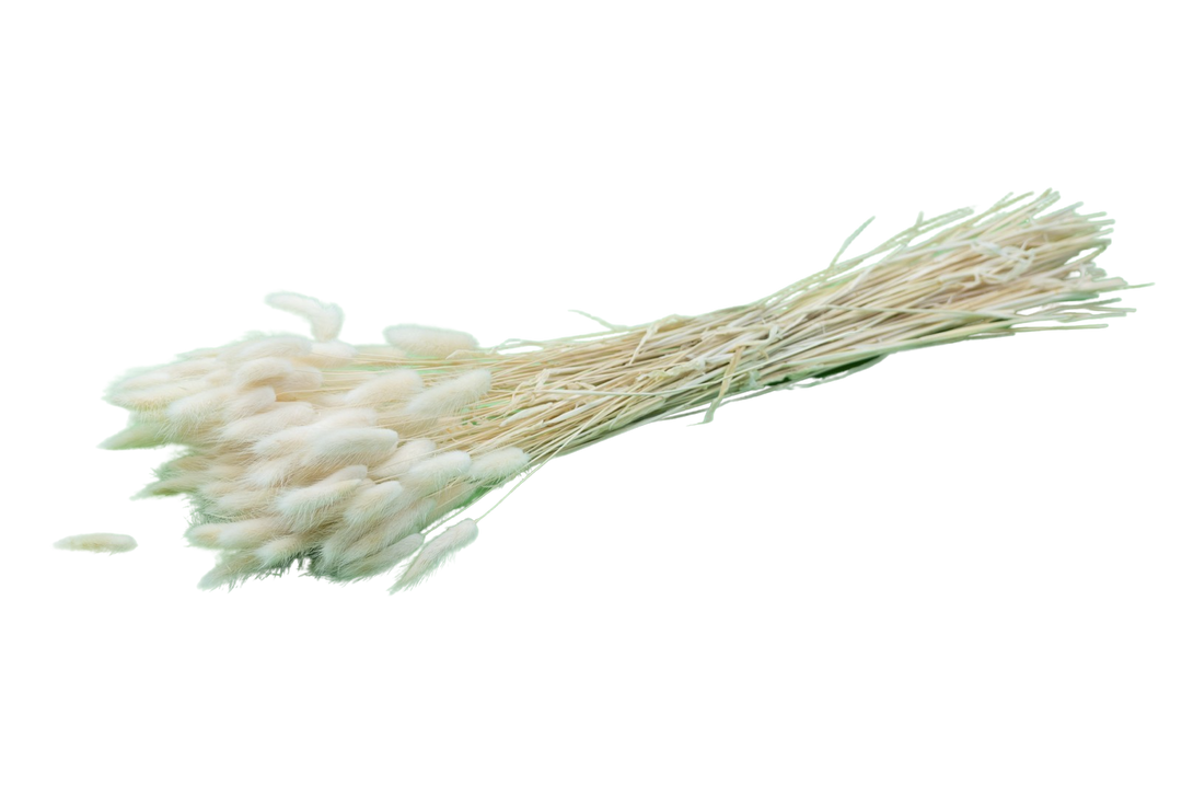 Italian White Lagurus Bouquet