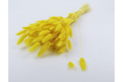 Italian Yellow Lagurus Bouquet