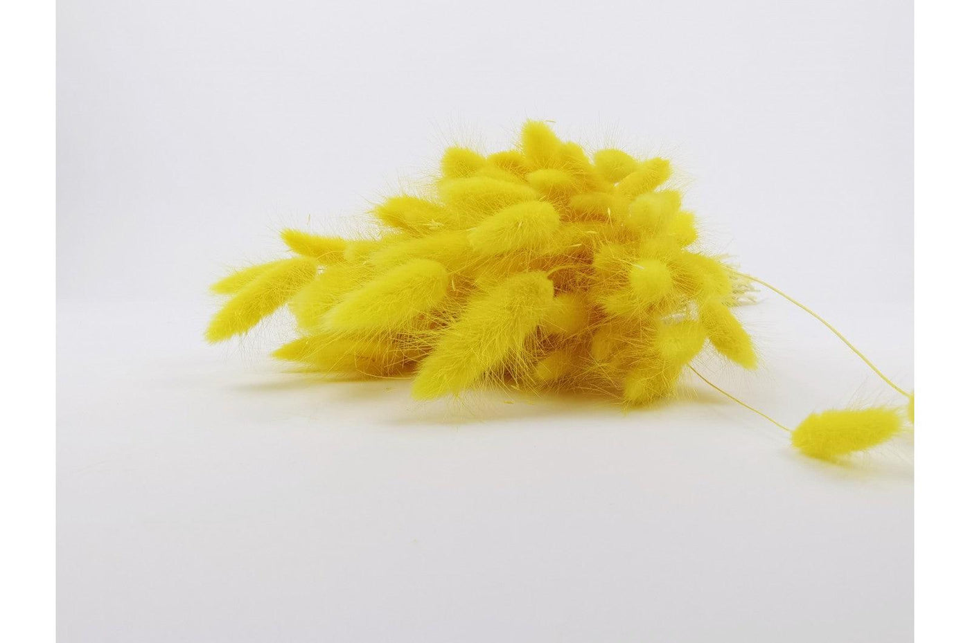 Italian Yellow Lagurus Bouquet