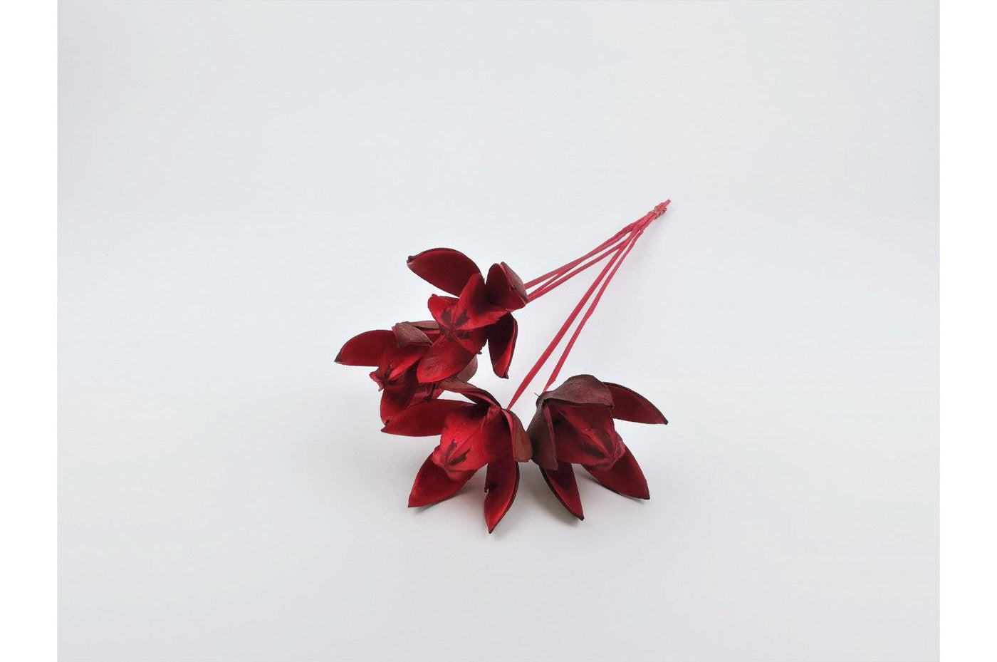 red lily flower shop Italian Red Lily Flower: Bouquet