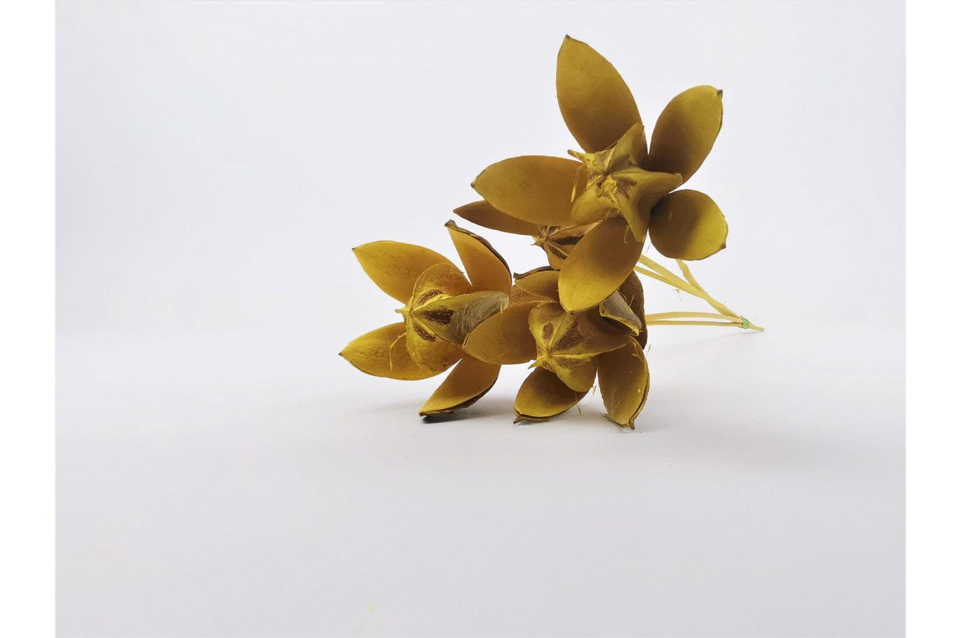 Italian Yellow Lily Flower Bouquet