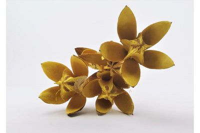 Italian Yellow Lily Flower Bouquet