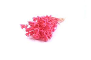 Pink Italian Nigella (bouquet of 100 g)-Forest Homes-Nature inspired decor-Nature decor