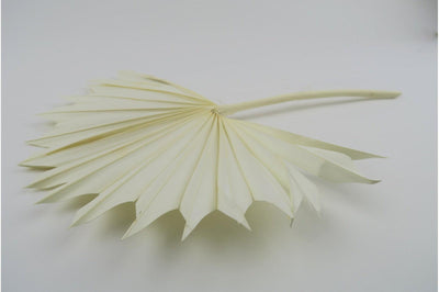 White Spanish Palm Sun Bouquet