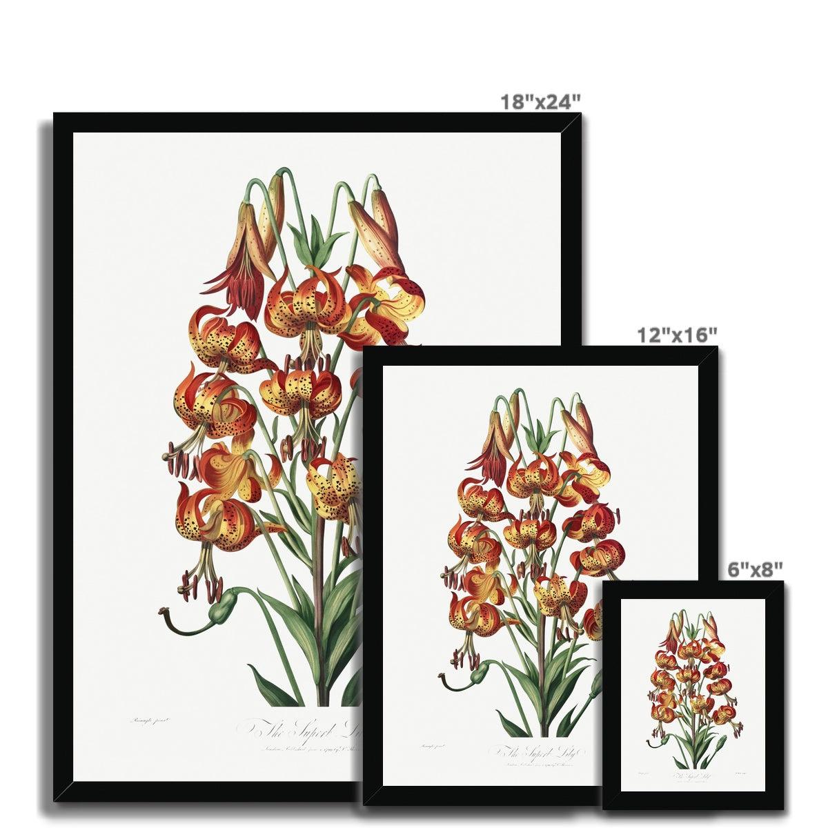 Happy Fuchsia Framed Print-Wall Decor-Forest Homes-Nature inspired decor-Nature decor