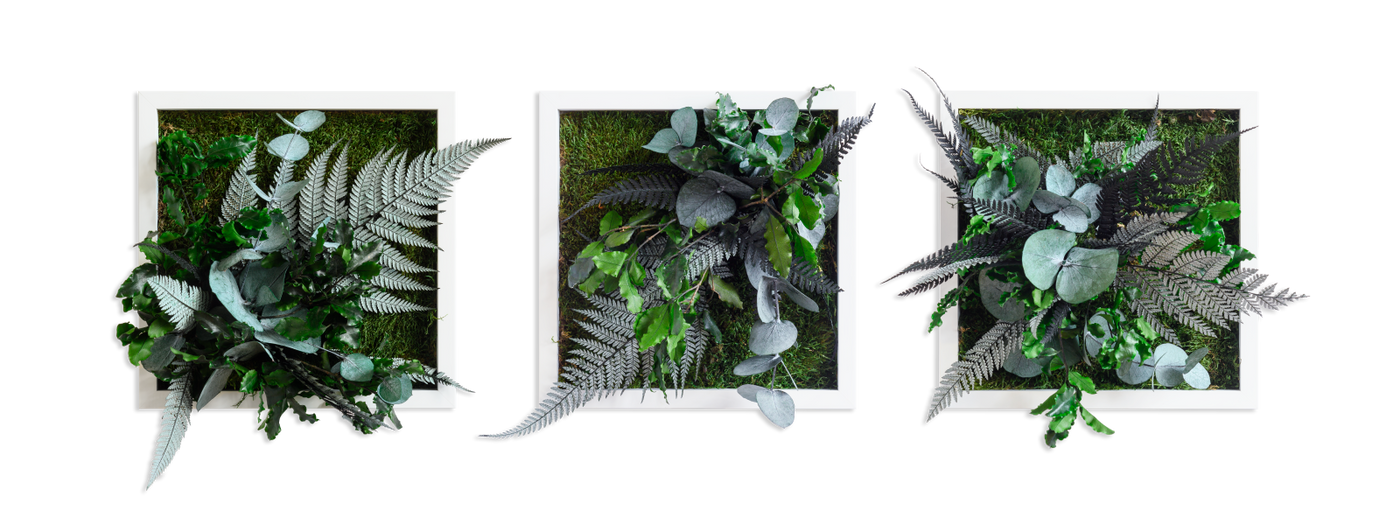 Jungle Square Set Plant and Moss Wall Art (22cm)-Wall Decor-LIVING MOSS WALL, PLANT WALL ART, PLANTS-Forest Homes-Nature inspired decor-Nature decor