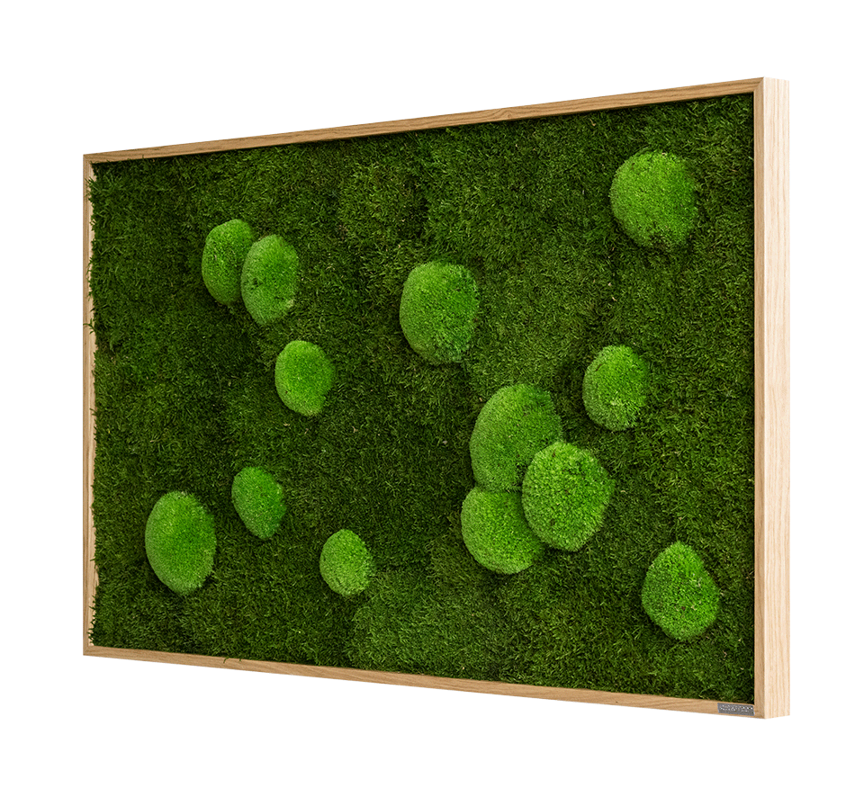 Forest Bun Moss Wall Art