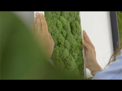 Green Wide Moss Wall Art (57x27 cm)