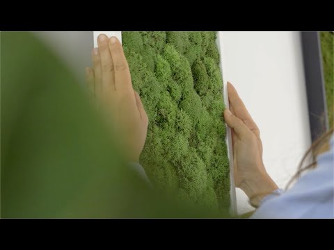 3D Lines Plant & Moss Wall Art