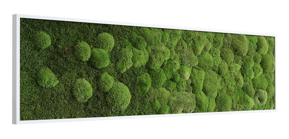 Wide Merging Moss Wall Art (140x40cm)-Wall Decor-MOSS FRAMES, MOSS PICTURES, MOSS WALL ART, PLANTS-Forest Homes-Nature inspired decor-Nature decor