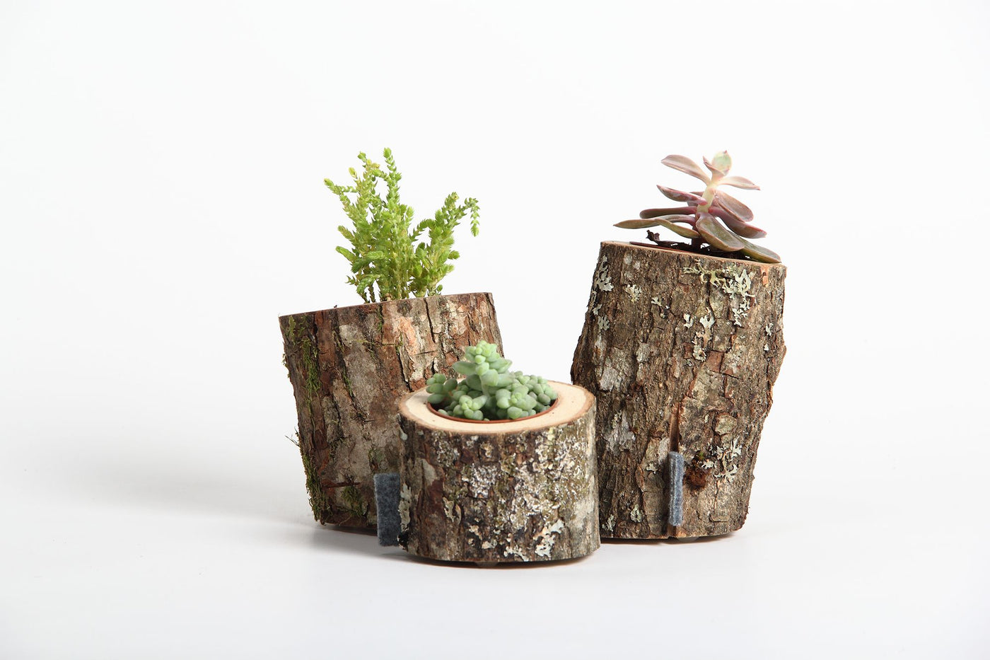 Miškas Wooden Table Vase-Home Goods-TERRARIUMS / VASES / PLANT HANGERS-Forest Homes-Nature inspired decor-Nature decor