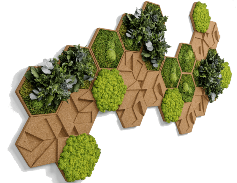 Moss and Cork Hexagon: Set of 50 Moss Panels | Forest Homes