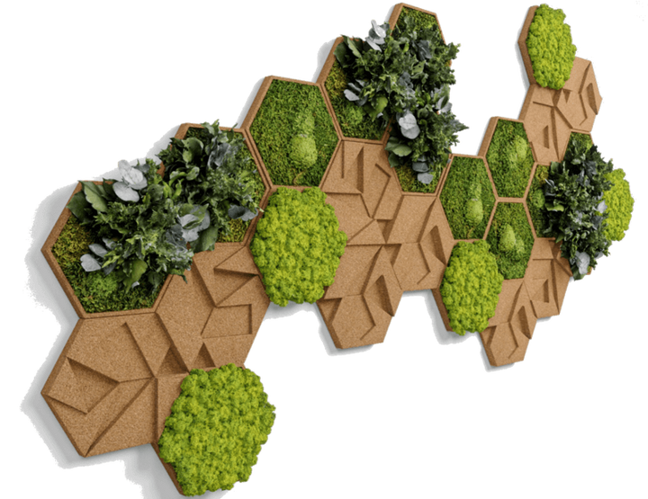 Moss and Cork Hexagon: Moss Panel | Forest Homes