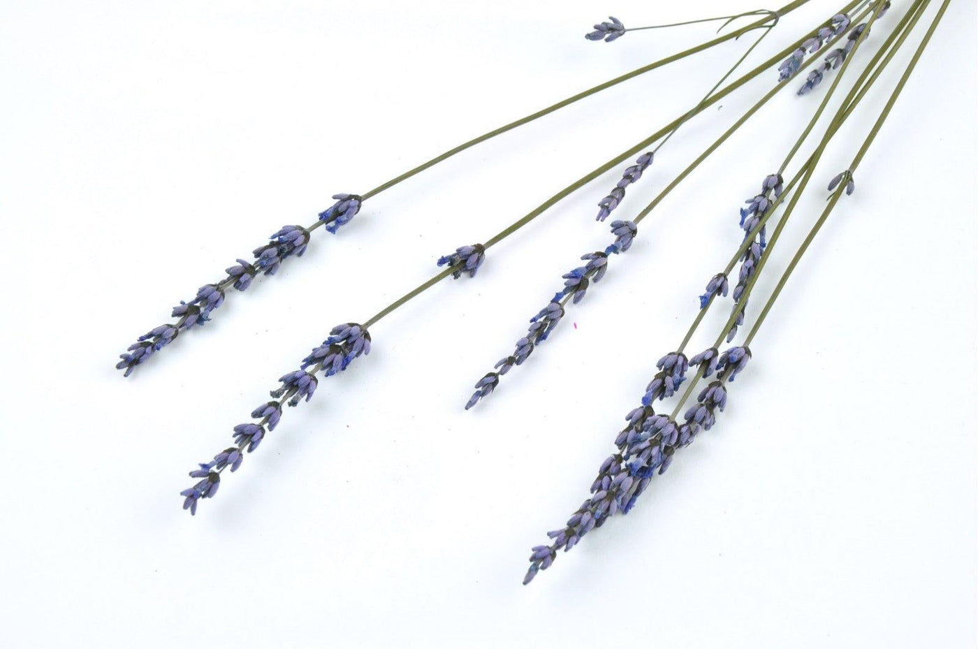 Kenyan Natural Provencal Lavender Bouquet