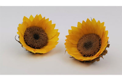 Sunflower Heads (Set of 6)-Home Flora-FLOWERS, PLANTS-Forest Homes-Nature inspired decor-Nature decor