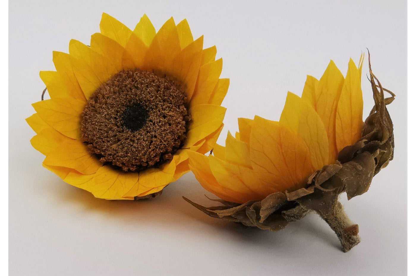 Sunflower Heads (Set of 6)-Home Flora-FLOWERS, PLANTS-Forest Homes-Nature inspired decor-Nature decor