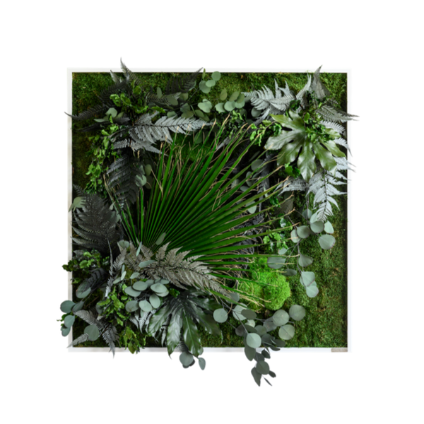 Jungle Squared Plant and Moss Wall Art (80cm)-Wall Decor-MOSS PICTURES, MOSS WALL ART, PLANT WALL ART, PLANTS-Forest Homes-Nature inspired decor-Nature decor