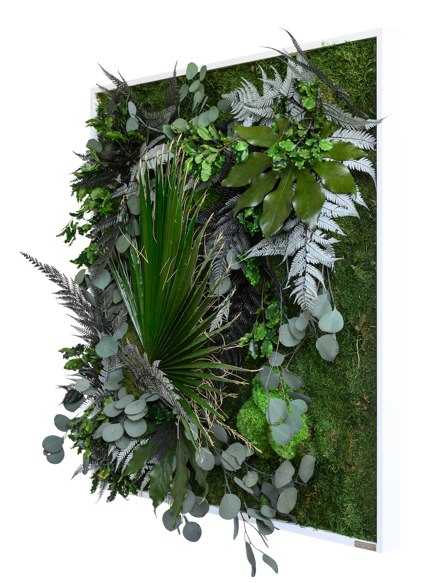 Jungle Squared Plant and Moss Wall Art (80cm)