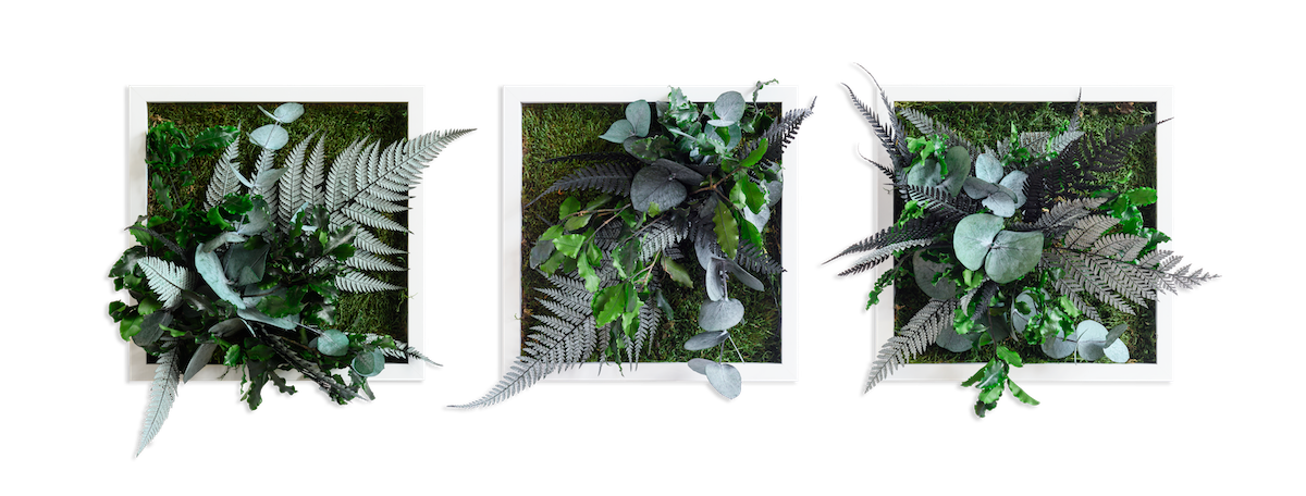 Jungle Square Set Plant and Moss Wall Art (22cm)-Wall Decor-LIVING MOSS WALL, PLANT WALL ART, PLANTS-Forest Homes-Nature inspired decor-Nature decor